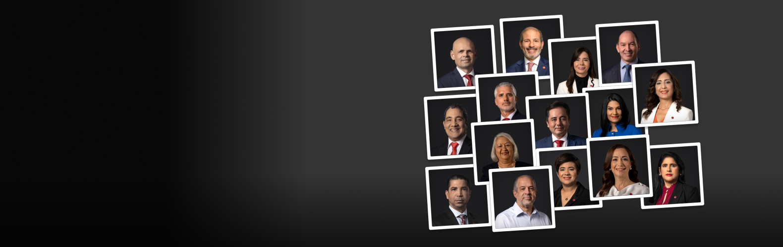 Comité Directivo que vela por el cumplimiento de los objetivos de Sustentabilidad definidos